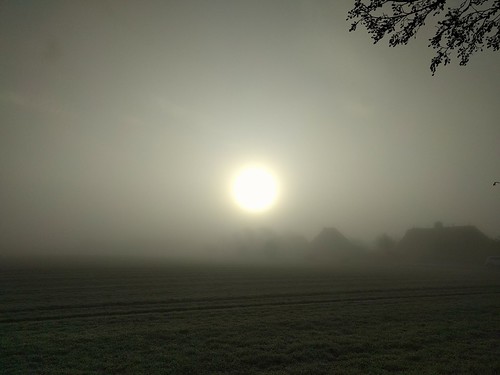 Foggy Morning 1