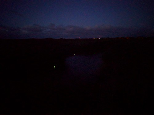 Fishing at Night